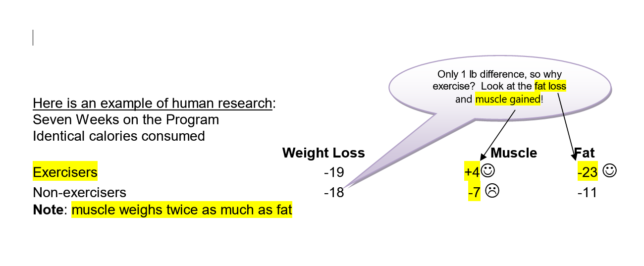 Research shows that exercises for weight loss keep you from losing too much muscle and not enough fat. Research shows that exercises for weight loss keep you from losing too much muscle and not enough fat.
